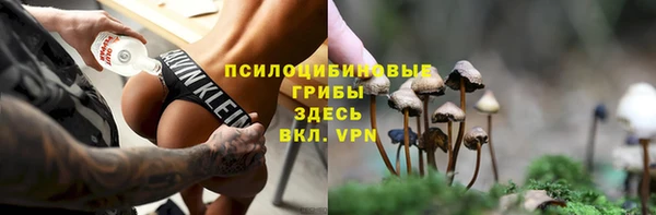 эйфоретик Алзамай