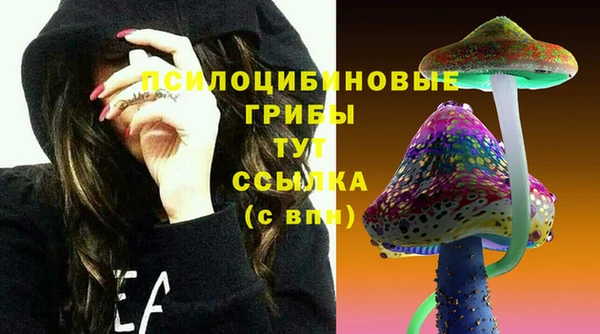 эйфоретик Алзамай