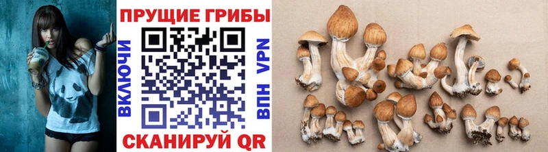 Псилоцибиновые грибы GOLDEN TEACHER  дарнет шоп  Серов 